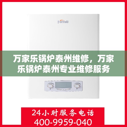 万家乐锅炉泰州维修，万家乐锅炉泰州专业维修服务