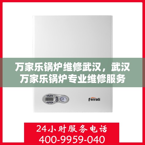 万家乐锅炉维修武汉，武汉万家乐锅炉专业维修服务